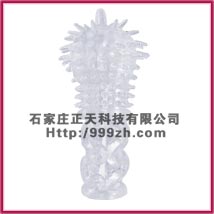 NO。00351